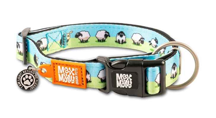 Max & Molly Smart ID Black Sheep Boyun Tasması-Xsmall
