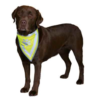 Trixie Köpek Bandanası L-XL 42-60 cm