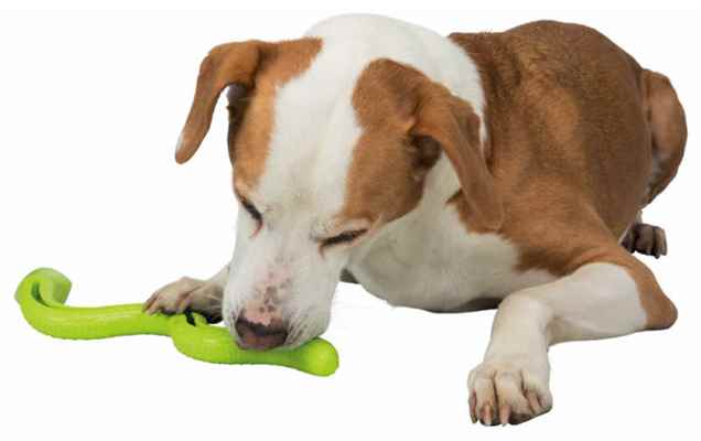 Trixie Köpek Ödül Oyuncağı, Yeşil Yılan, Tpr, 42cm