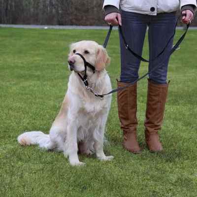 Trixie Uzman Köpek Eğitim Tasması L-XL 37cm