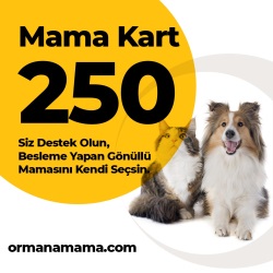 Mama Hediye Kartı 250