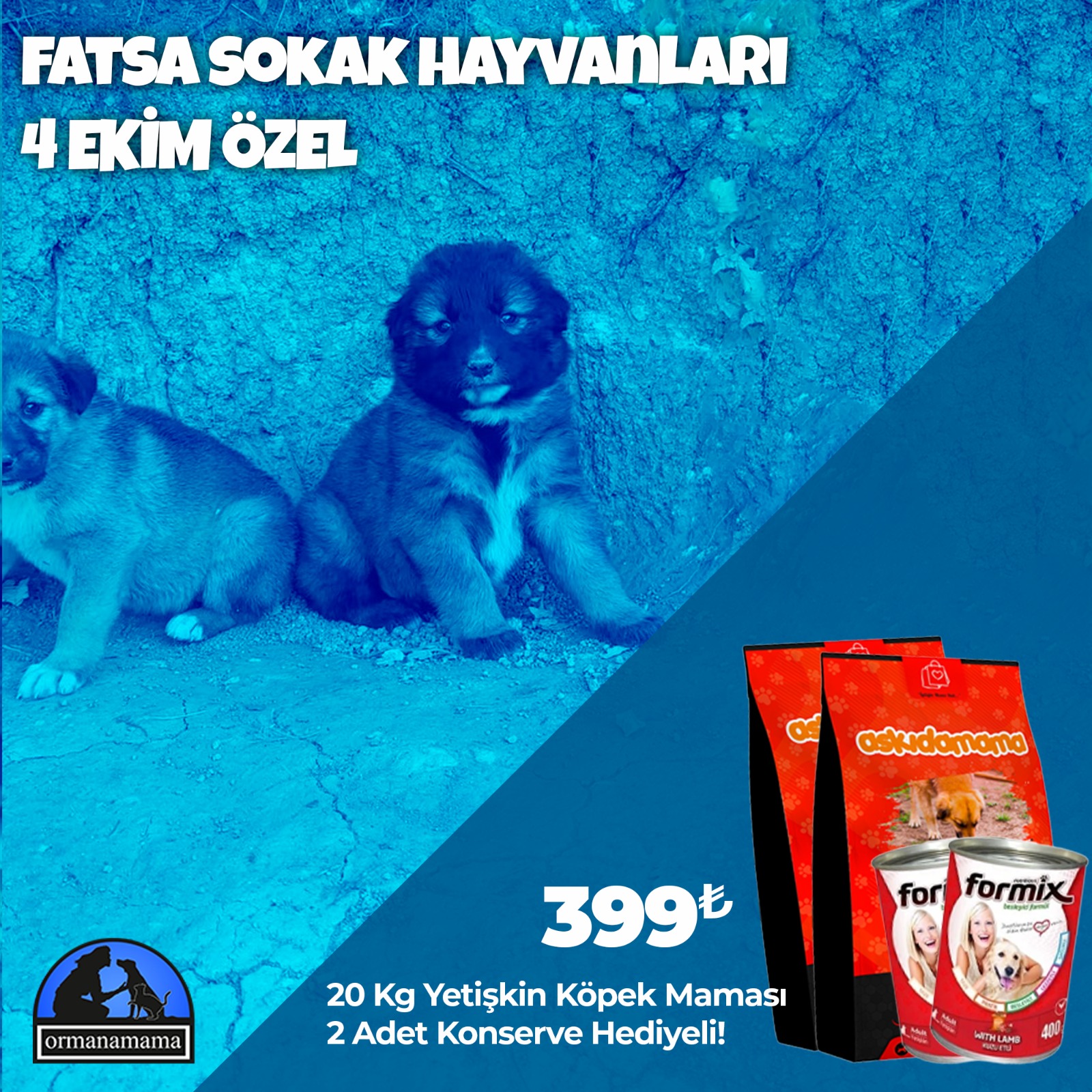 Fatsa Sokak Hayvanları 4 Ekim Özel