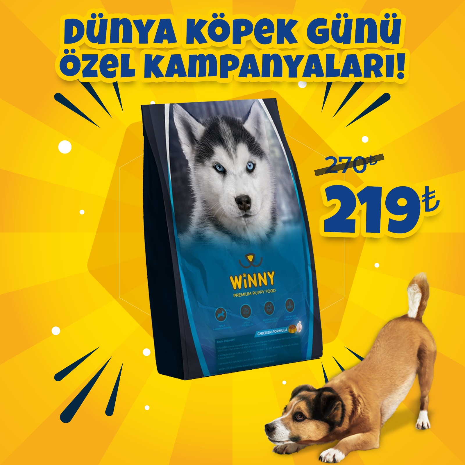 Winny Premium Dog 15 Kg Tavuklu Yavru Köpek Maması