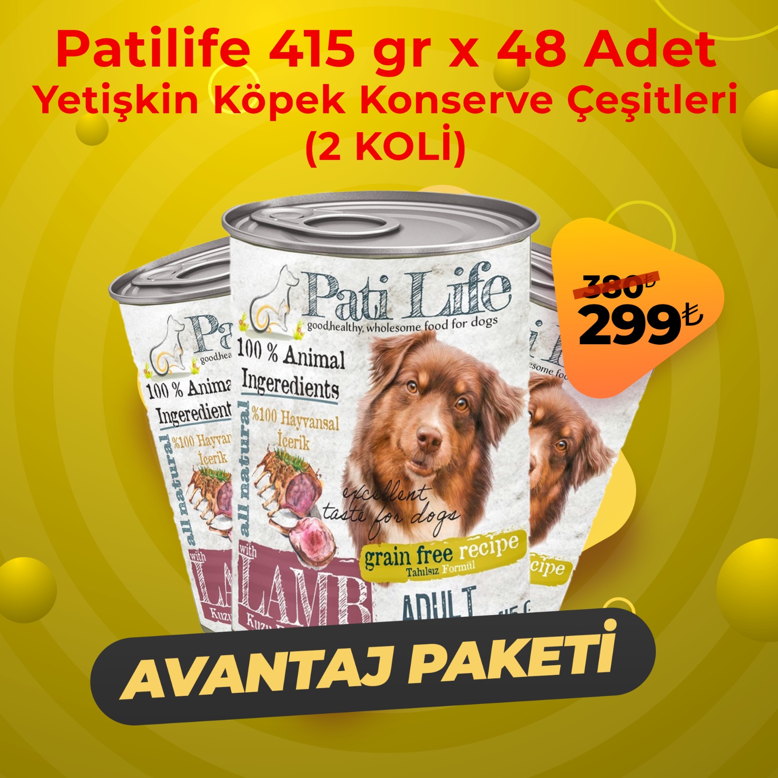 Pati Life Köpek Konserve Çeşitleri 48 Adet x 415 Gr (2 Koli)