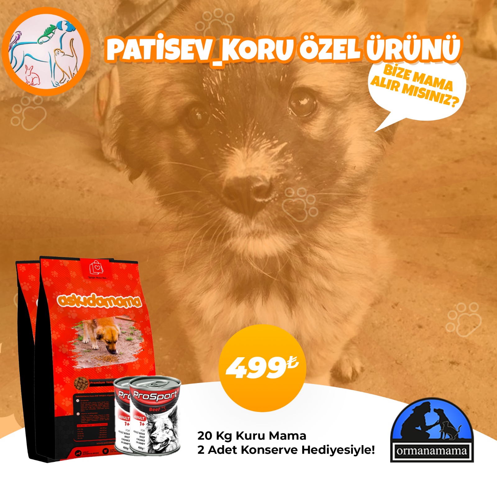 PatiSev Koru Özel Ürünü