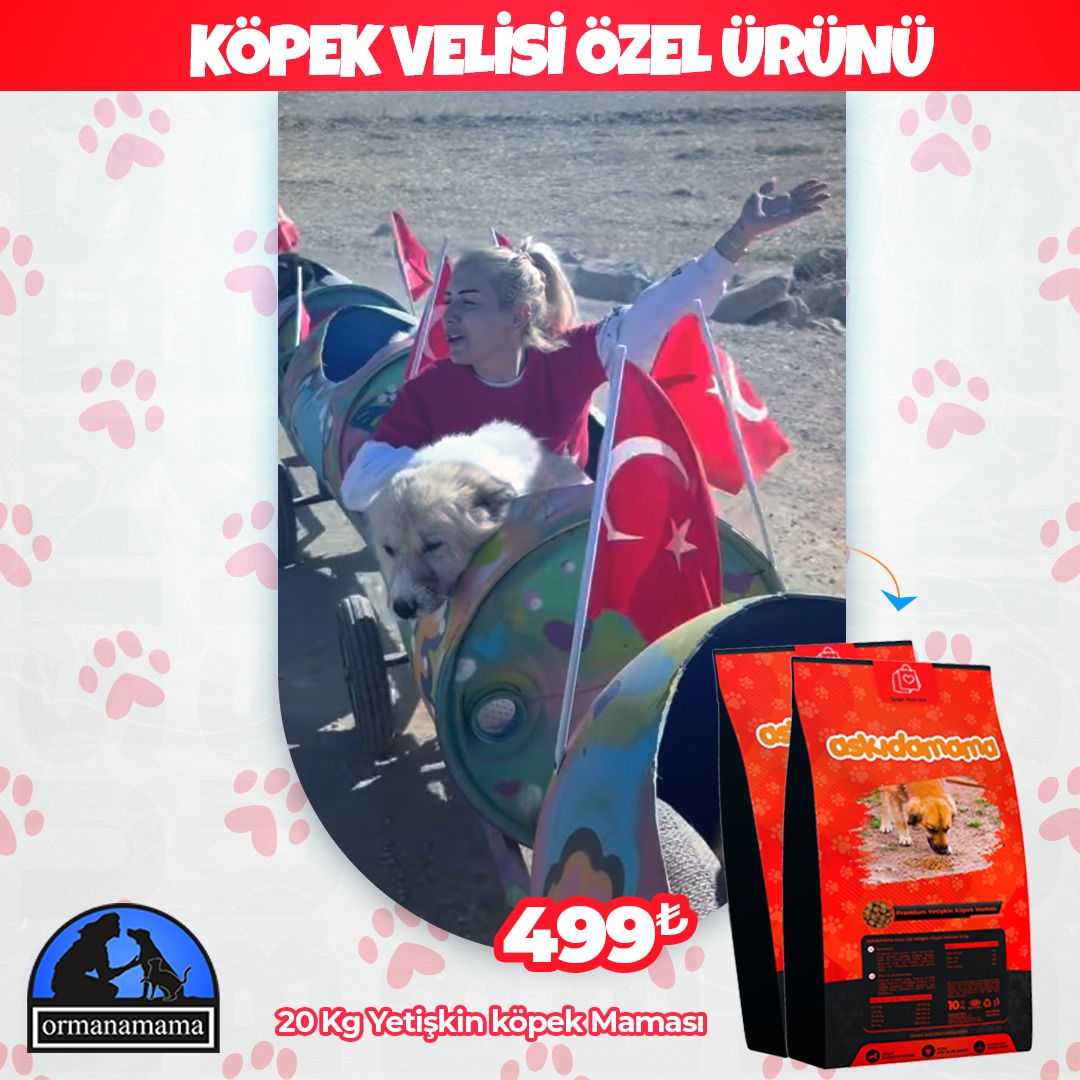 Köpek Velisi Özel Ürünü