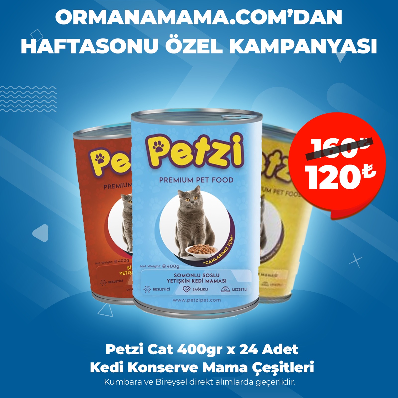 Petzi Cat Premium 400Gr x 24 Adet Kedi Konserve Çeşitleri