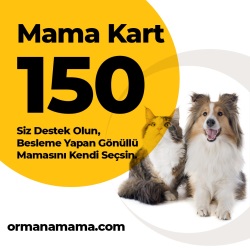 Mama Hediye Kartı 150