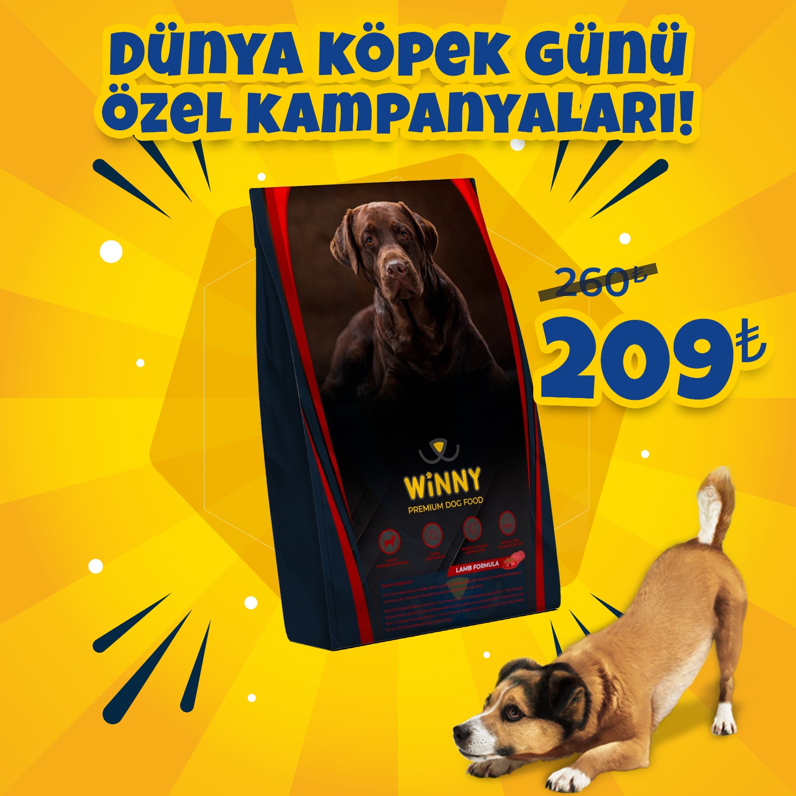 Winny Premium 15 Kg Kuzu Etli Yetişkin Köpek Maması