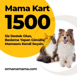 Mama Hediye Kartı 1500