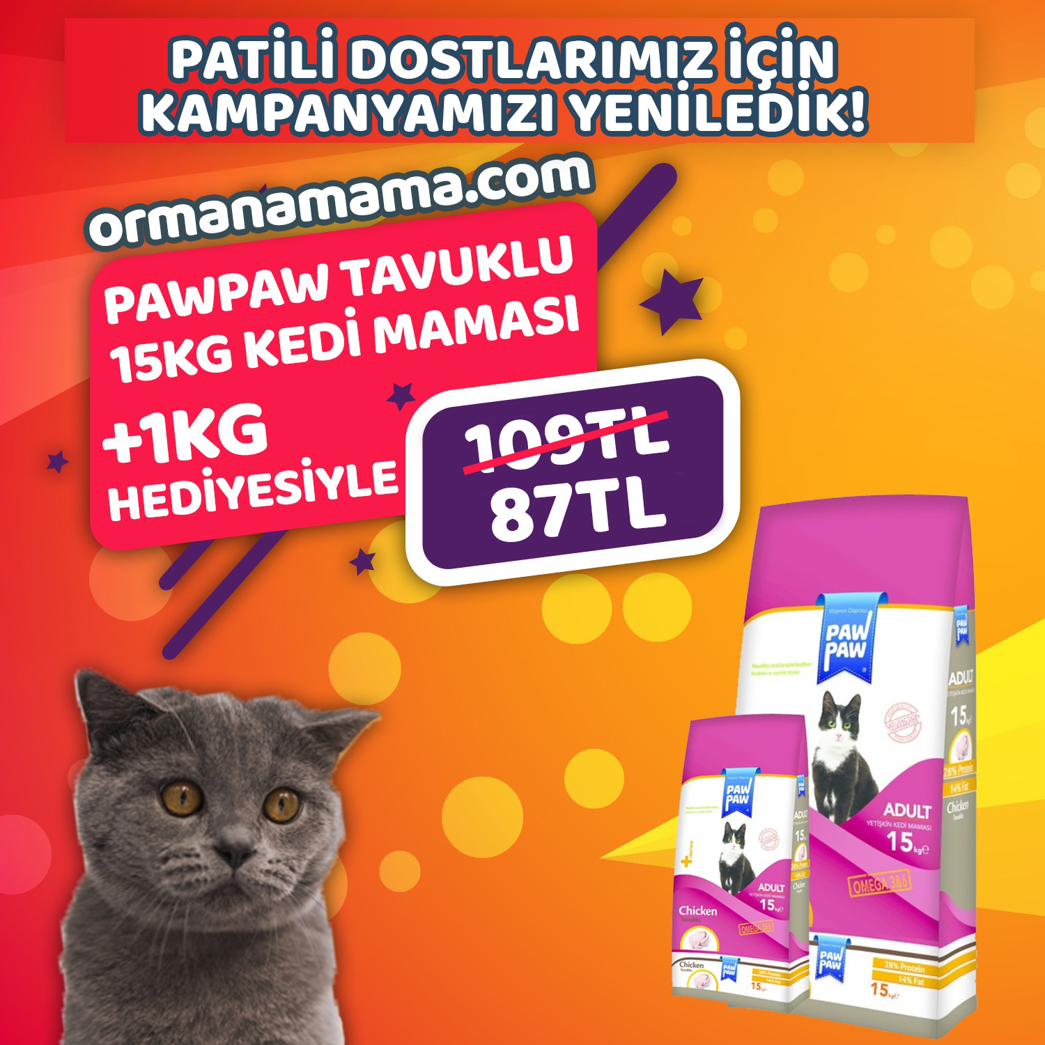 Bonacibo köpek maması