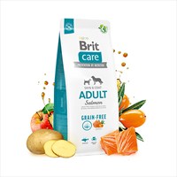 Brit Care Skin Coat Somonlu TahÄ±lsÄ±z YetiÅŸkin KÃ¶pek MamasÄ± 12 Kg