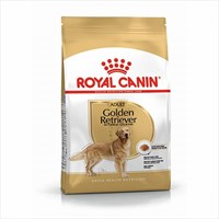 Royal Canin Golden Retriever Adult YetiÅŸkin KÃ¶pek MamasÄ± 12 Kg