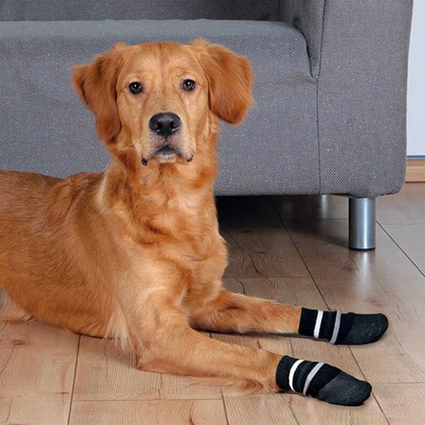 Trixie Kaymaz Tabanlı Köpek Çorabı 2 Adet XS-S