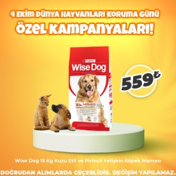 Wise Dog 15 Kg Kuzu Etli ve Pirinçli Yetişkin Köpek Maması