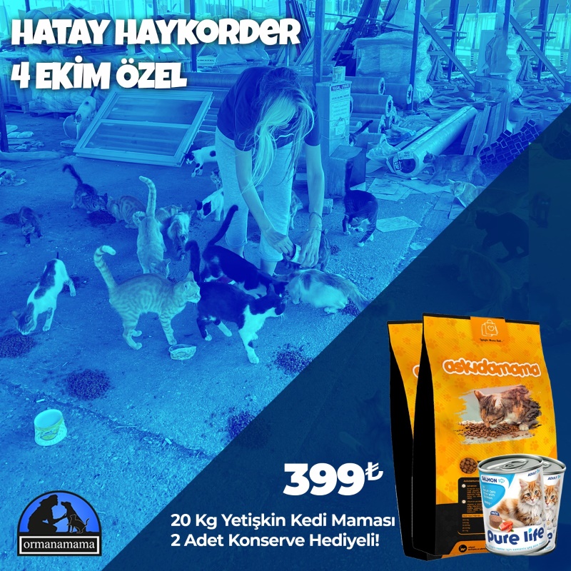 Hatay Haykorder 4 Ekim Özel