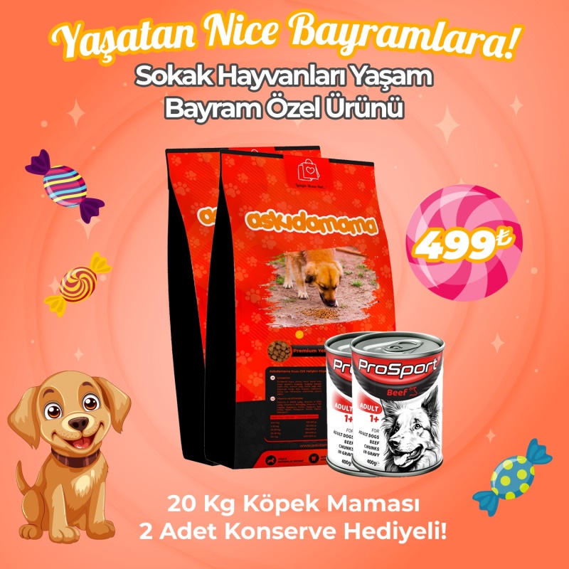 Sokak Hayvanları Yaşam Bayram Özel Ürünü