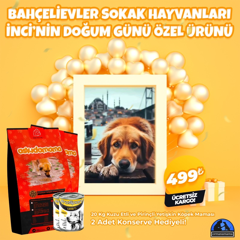 Bahçelievler Sokak Hayvanları İnci Doğum Günü Özel Ürünü