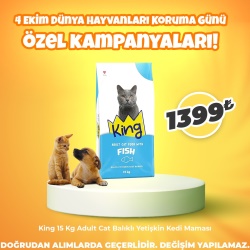 King 15 Kg Adult Cat Balıklı Yetişkin Kedi Maması