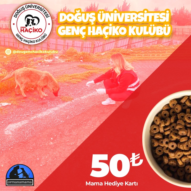 Doğuş Üniversitesi Genç Haçiko Kulübü