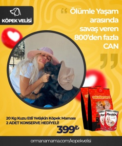 Köpek Velisi 4 Ekim Özel Ürünü