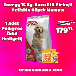 Energy 15 Kg Kuzu Etli Yetişkin Köpek Maması 1 Adet Pedigree Ödül Maması Hediyeli!