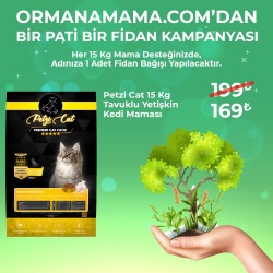 Petzi Cat Premium 15 Kg Tavuklu Yetişkin Kedi Maması (Fidan Hediyeli)