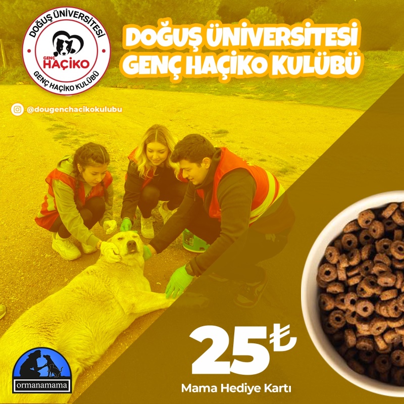 Doğuş Üniversitesi Genç Haçiko Kulübü