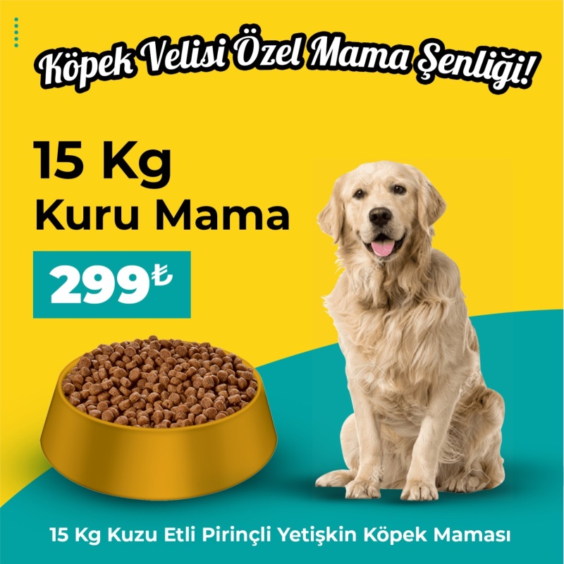 Köpek Velisi Özel Mama Şenliği