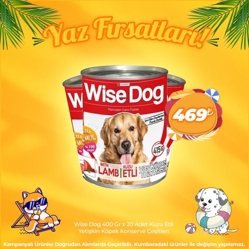 Wise Dog Yetişkin Köpek Konserve 400 Gr x 20 Adet (Yaz Fırsatları)