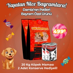 Damla'nın Patileri Bayram Özel Ürüü