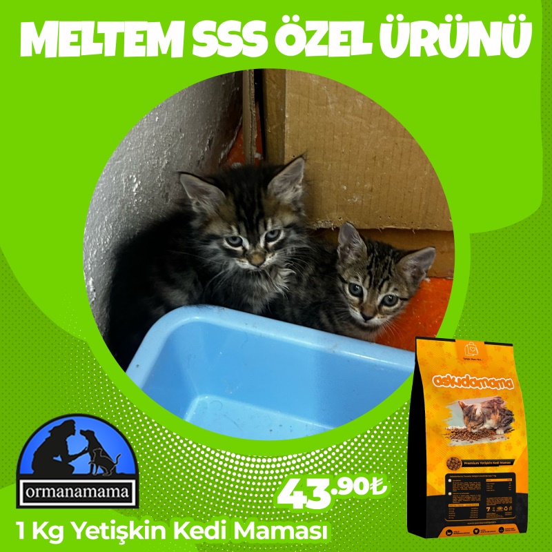 Meltem SSS Özel 1 Kg Yetişkin Kedi Maması
