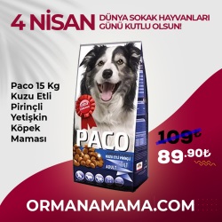 Paco 15 Kg Kuzu Etli Pirinçli Yetişkin Köpek Maması