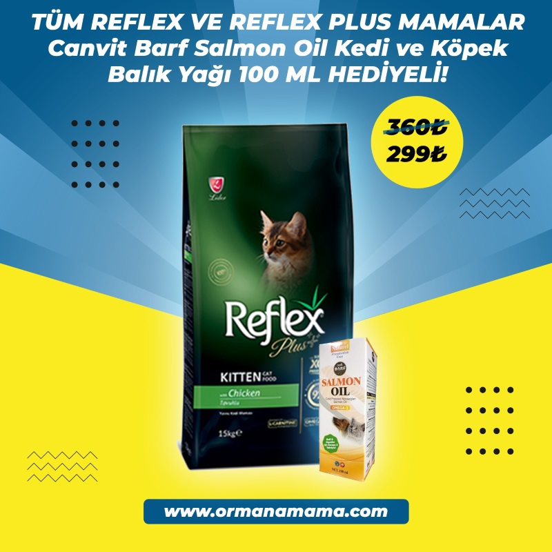 Reflex Plus Tavuklu 15 Kg Kitten Yavru Kedi Maması Canvit 100ML Kedi ve Köpek için Balık Yağı Hediyeli!