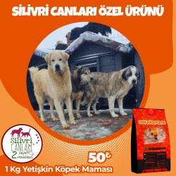 Silivri Canları Özel 1 Kg Yetişkin Köpek Maması