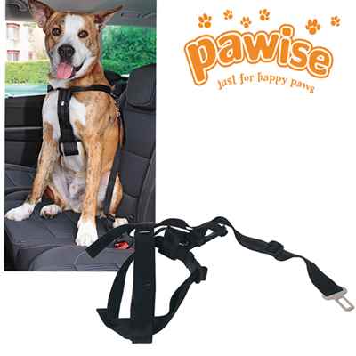 Pawise Emniyet Kemerli Köpek Tasması XL