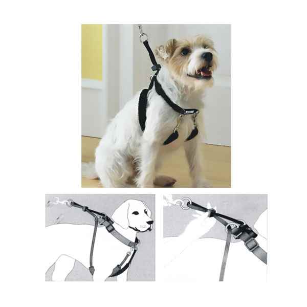 Pawise Dog Training L (1"x23-33") Eğitim Tasması