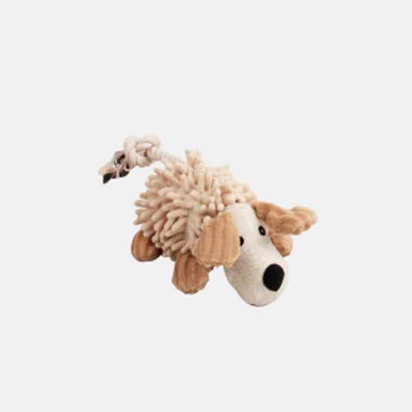 Pawise Dog Molar Toy- Dog Köpek Oyuncağı