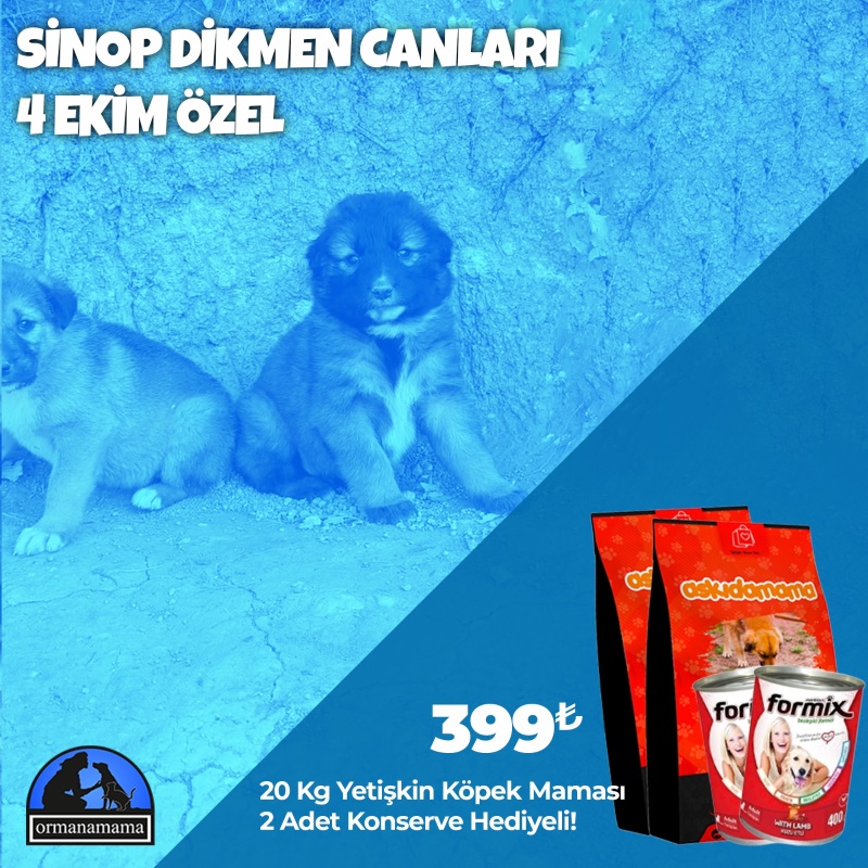 Sinop Dikmen Canları 4 Ekim Özel