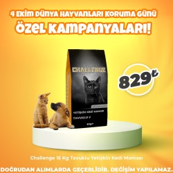 Challenge 15 Kg Tavuklu Yetişkin Kedi Maması