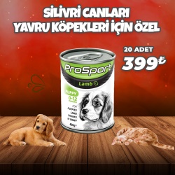 Silivri Canları Yavru Köpekleri Özel Ürünü