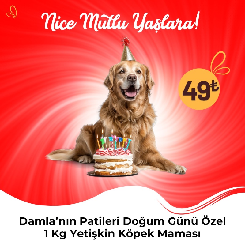 Damla'nın Patileri Doğum Günü Özel