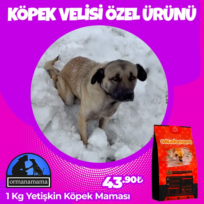 Köpek Velisi Özel 1 Kg Köpek Maması