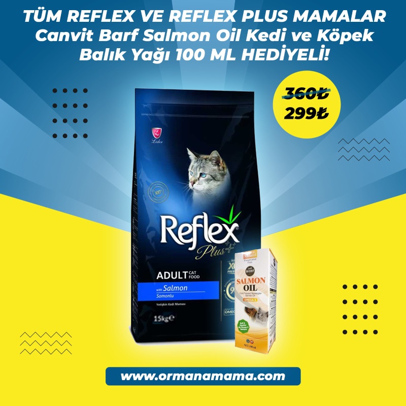 Reflex Plus Somonlu 15 Kg Yetişkin Kedi Maması Canvit 100ML Kedi ve Köpek için Balık Yağı Hediyeli!