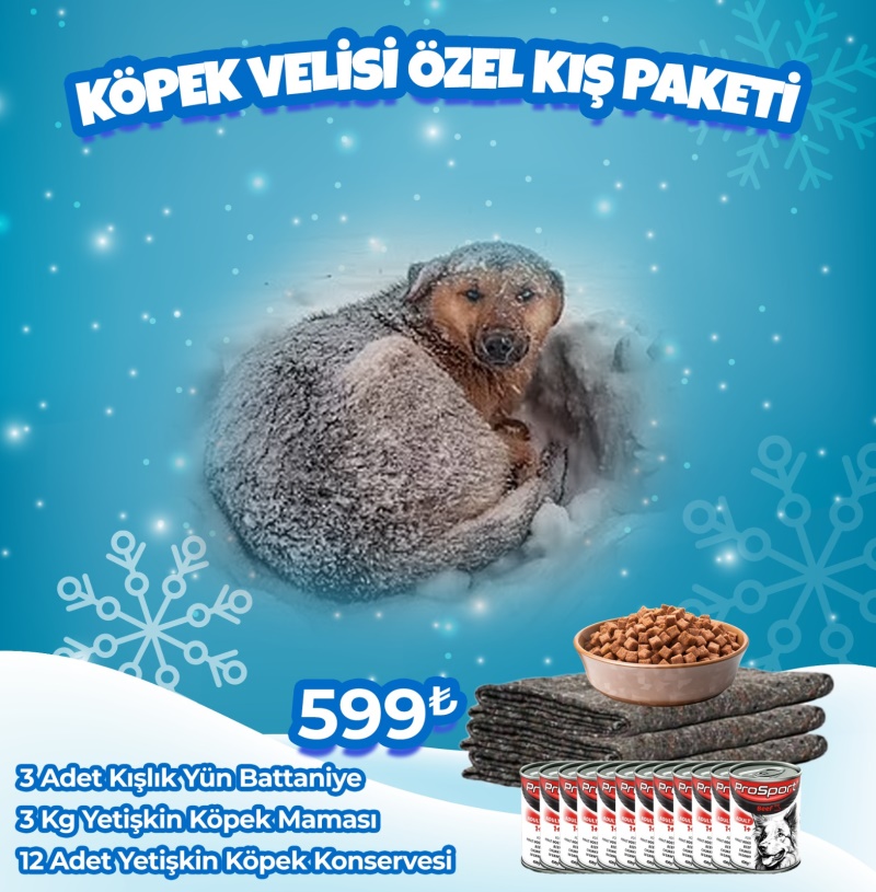 Köpek Velisi Özel Kış Paketi