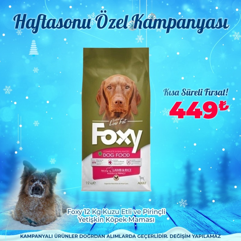 Foxy 12 Kg Kuzu Etli Yetişkin Köpek Maması (Haftasonu Özel)