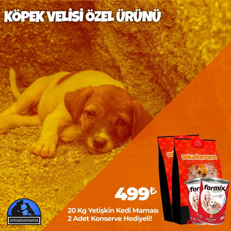 Köpek Velisi Özel Ürünü