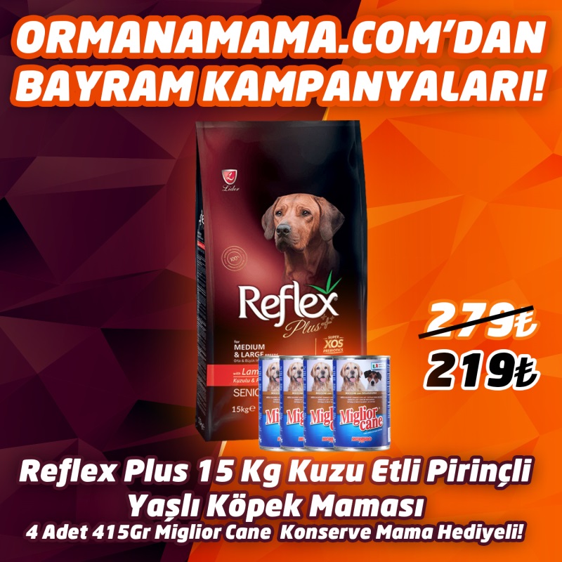 Reflex Plus  KuzuEtli Pirinçli Yaşlı Köpek Maması 15 Kg   4 Adet 415 Gr Miglior Cane Konserve Hediye