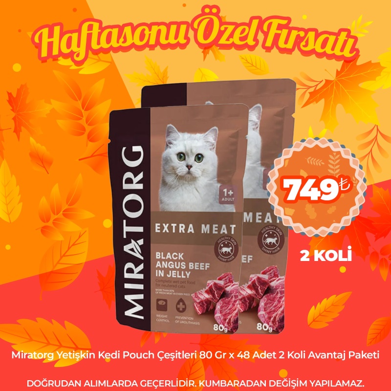 Miratorg Yetişkin Kedi Pouch Çeşitleri 80 Gr x 48 Adet 2 Koli Avantaj Paketi (Haftasonu Özel)