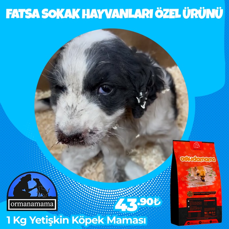 Fatsa Sokak Hayvanları Özel 1 Kg Köpek Maması